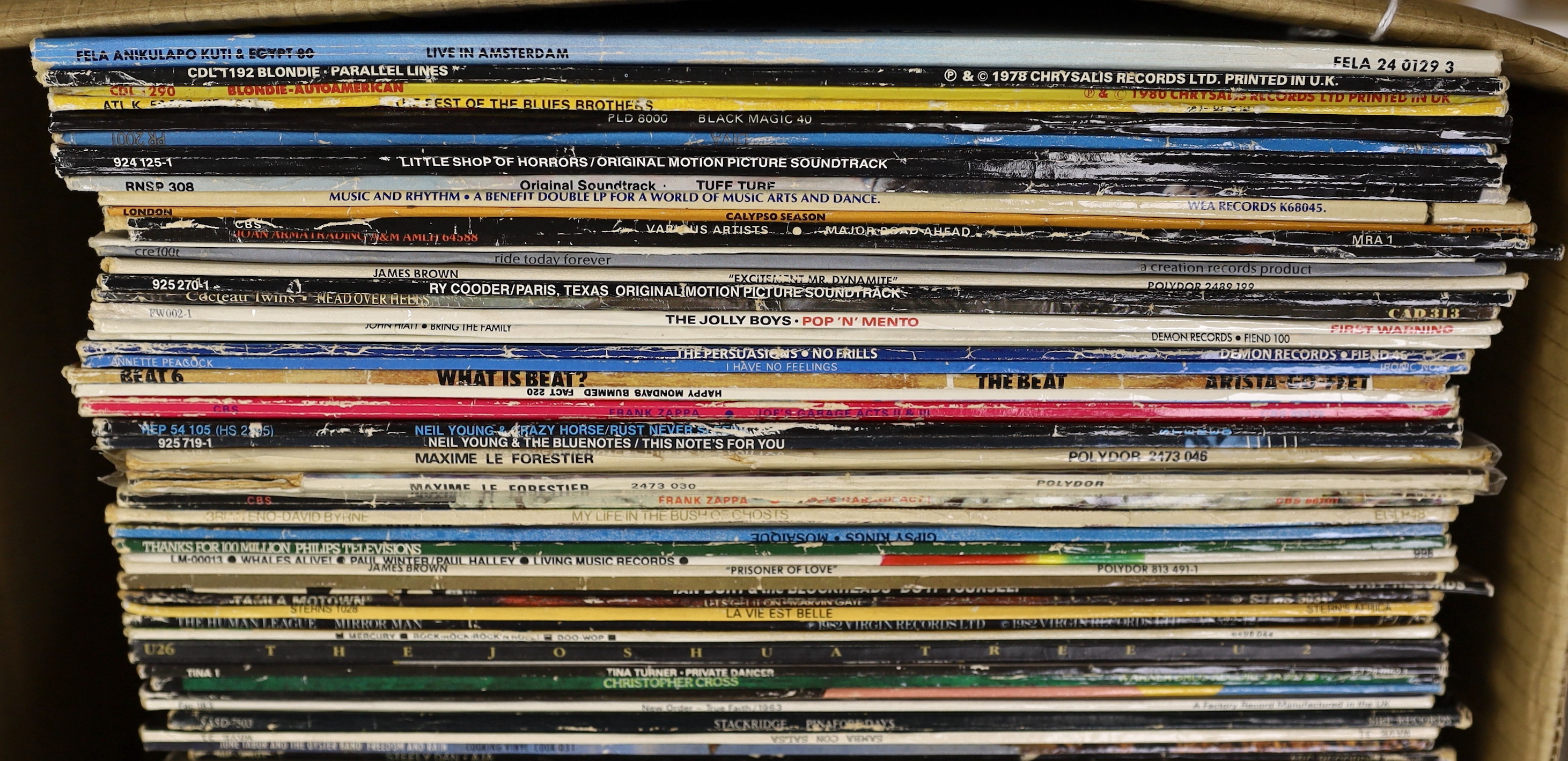 Seventy mostly 1980's LPs, including Blondie, Joan Armatrading, Texas, Happy Mondays, Neil Young and crazy horse, Ian Dury and the Blockheads, Tina Turner, James Brown, etc.